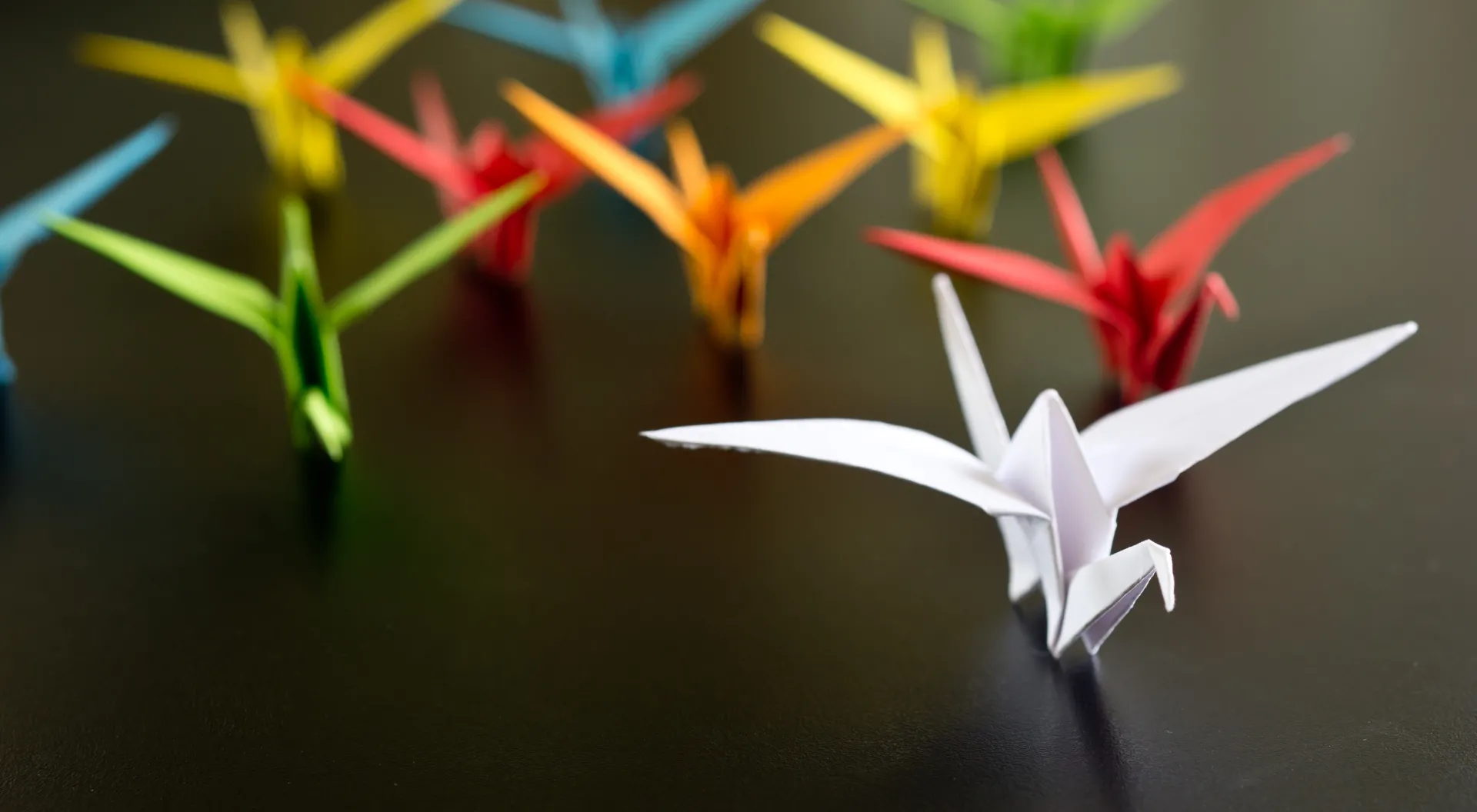 Origami cranes